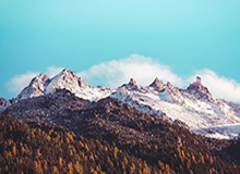 开云娱乐-猛龙绿军也要抢哈登？篮网热火最快赛季开始前得手